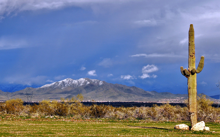 snow-capped mtns